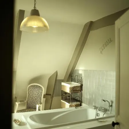 Chateau De Bordeneo Bed & Breakfast *